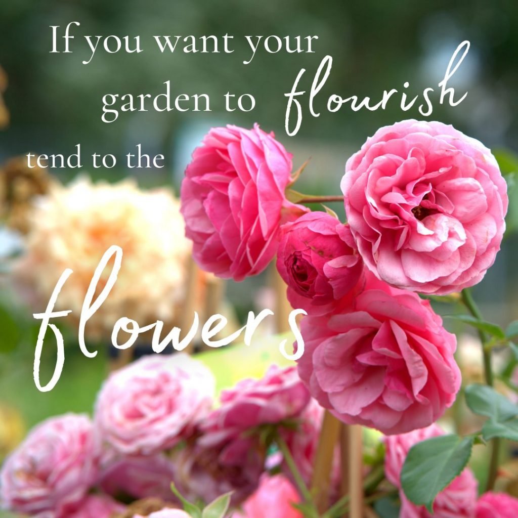 Celebrate your creations embody The Empress tarot card meanings if you want your garden to flourish tend to the flowers