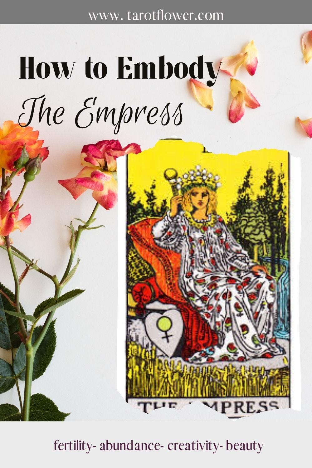 the empress tarot card meanings major arcana embodiment