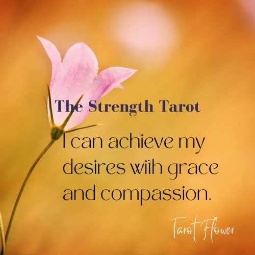 strength tarot, tarot card meaning, affirmations