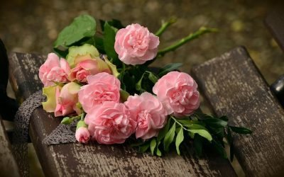 Riches Grow From the Seeds in Your Heart