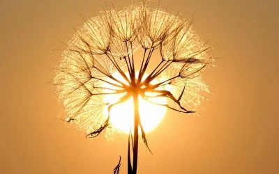 We Are Infinite Possibility