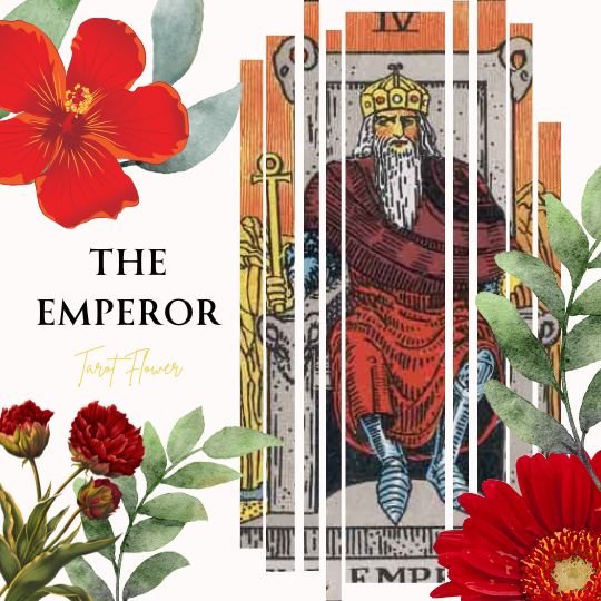 the emperor tarot card meaning rider waite