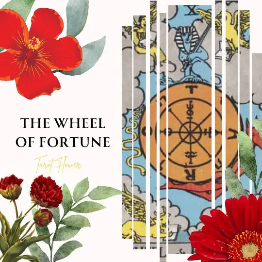 The wheel of fortune tarot card meaning, rider waite deck, major arcana