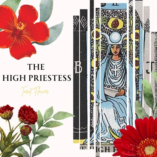 the high priestess tarot card meaning, major arcana, rider waite