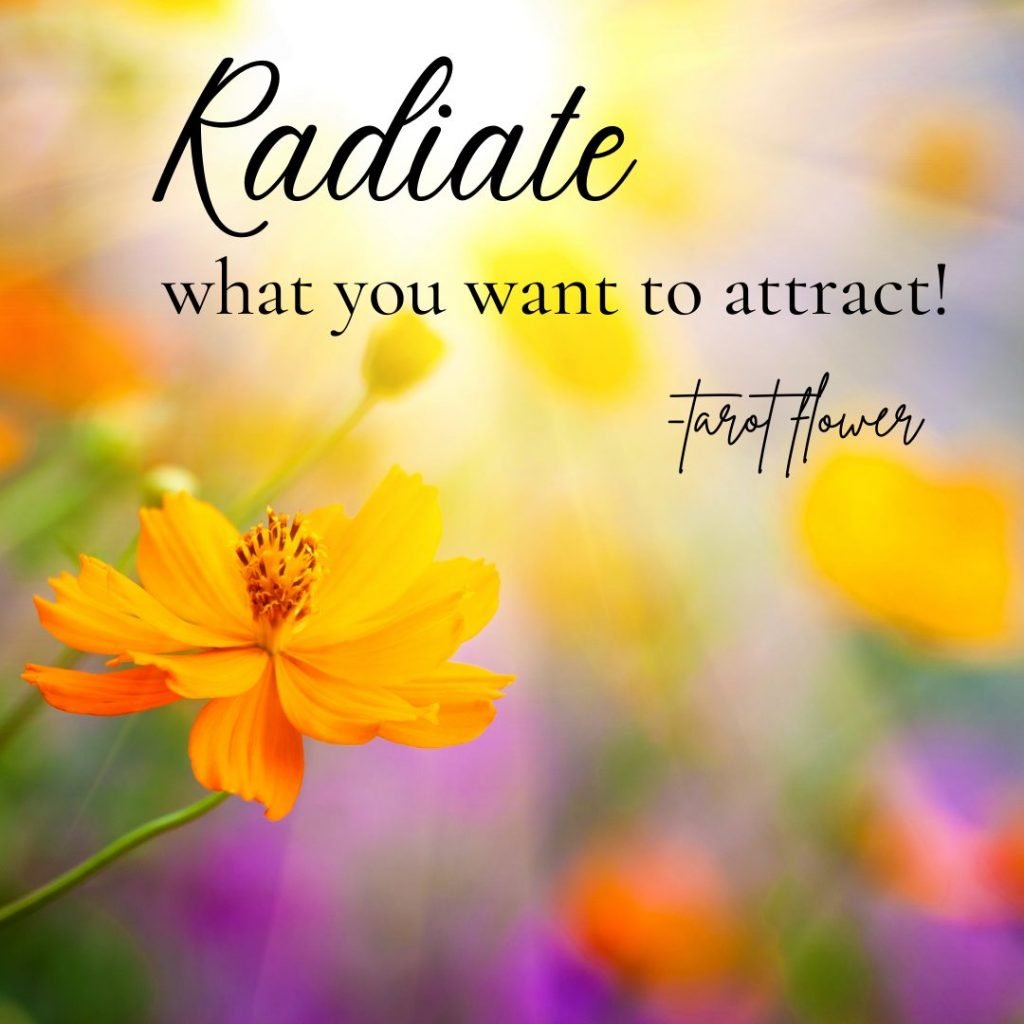 radiate what you want to attract the sun inspirational quote