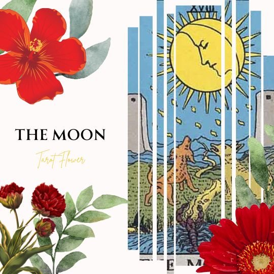 the moon tarot card meaning, major arcana, rider waite tarot deck