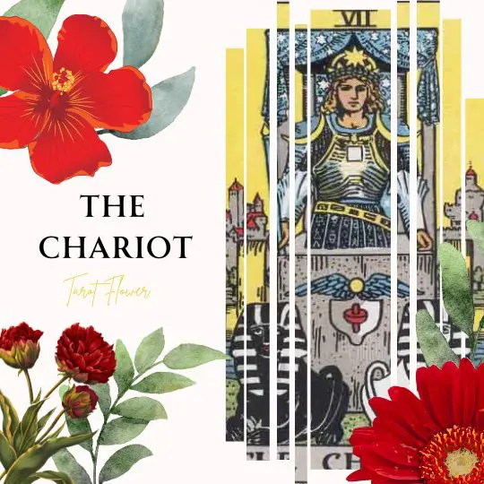 the chariot tarot card meaning, major arcana, rider waite