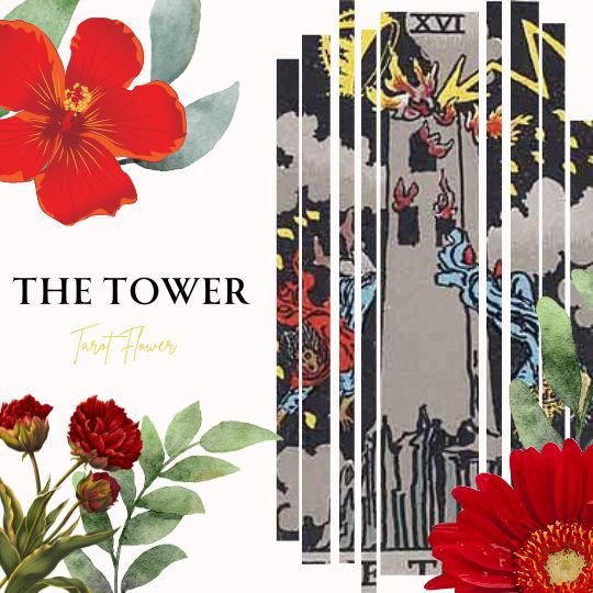 the tower tarot card meaning, major arcana, rider waite deck