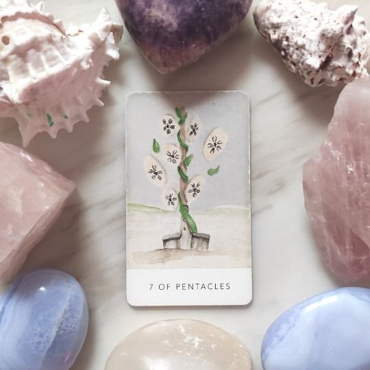 seven of pentacles tarot card white sage tarot